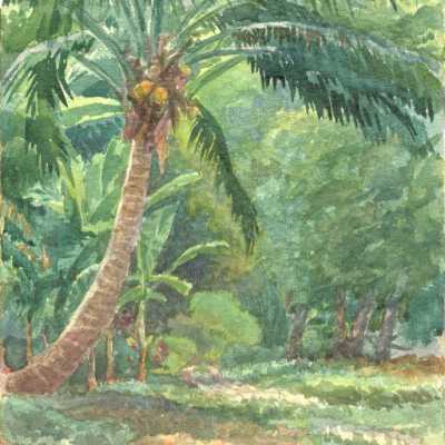 Landscape with Coconut Tree