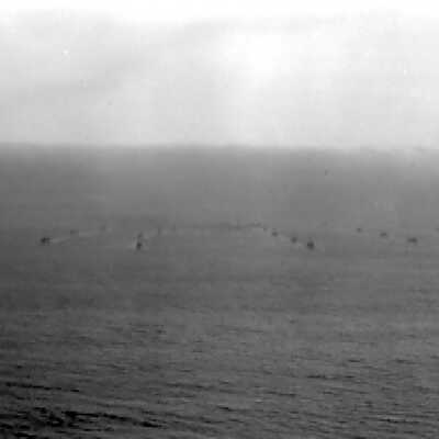 U.S. Naval Fleet