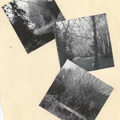 Easkoot Creek in the Park