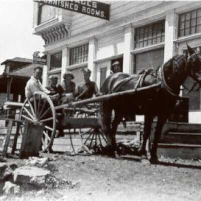 Horse drawn cart
