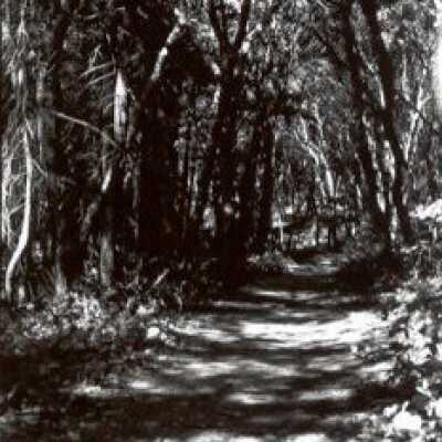 Deer Park from Shade