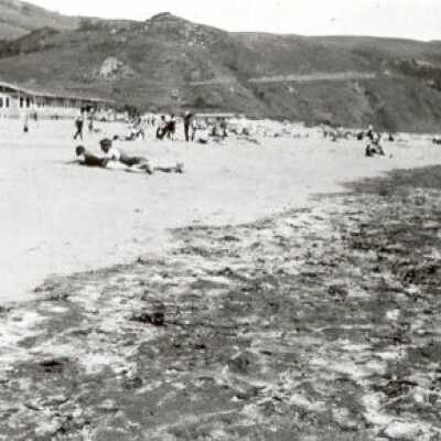 Beach and sunbathers