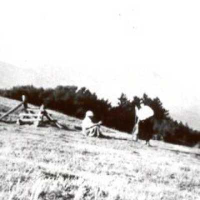Hikers