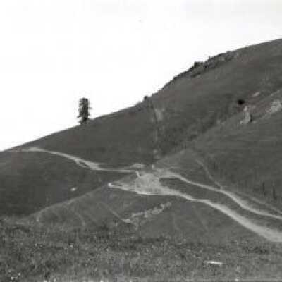 First View of Lone Tree