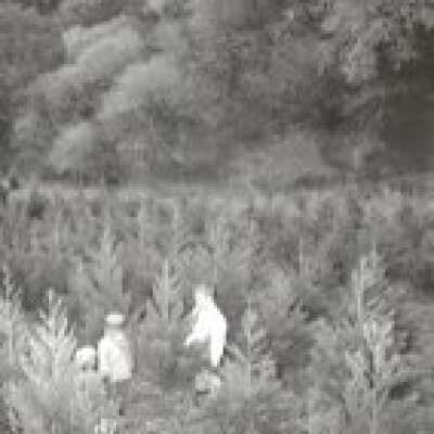 Christmas Tree Ranch