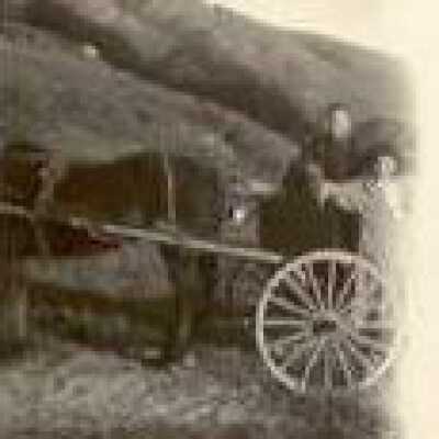 horse & cart