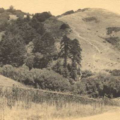 Steep Trail