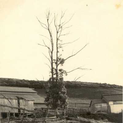 White Gate Ranch 12/13/59