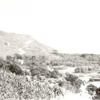 Hillside View