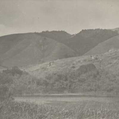 Willow Camp Lake