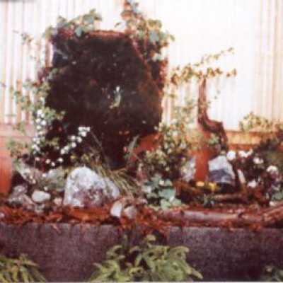 Waterfall Scene