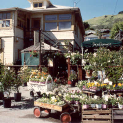 Stinson Beach Flower Stand