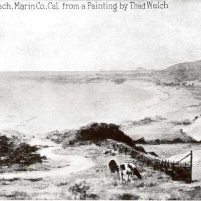 Stinson from a Painting by Thad Welch
