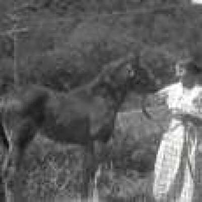 Two women with horse