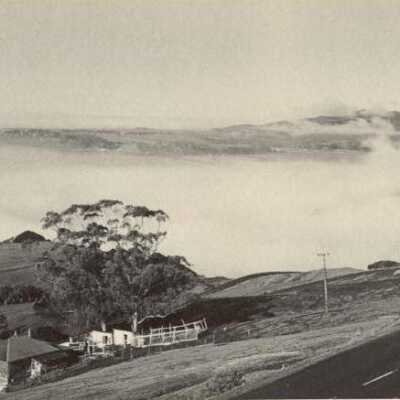 White Gate Ranch