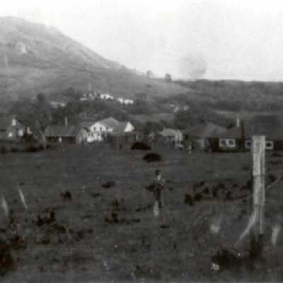 The Hill
