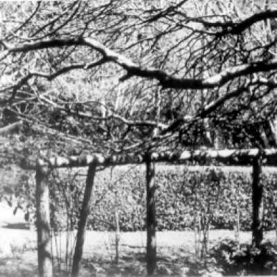 Lambert Garden