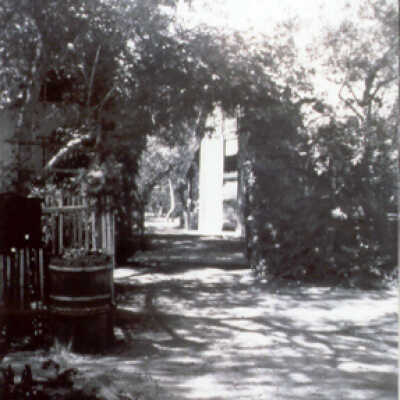 Willow Camp