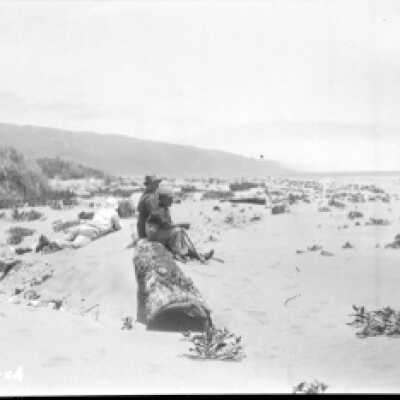 Dune and Log
