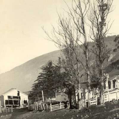 White Gate Ranch 2-12-1950