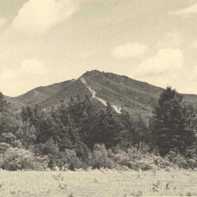Mount Tamalpais