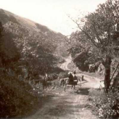 Bridge at Steep Ravine