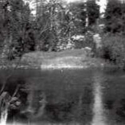 Lake Among Trees