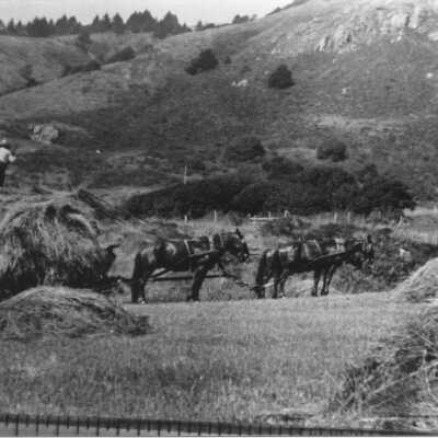 Haying at White Gate Ranch