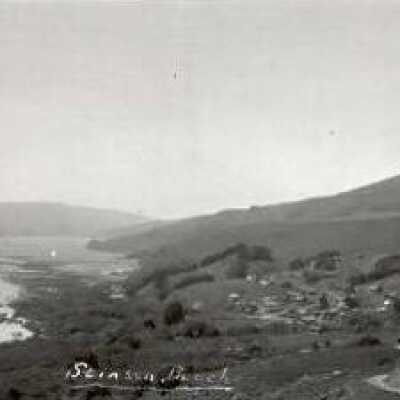 Stinson Beach hillside