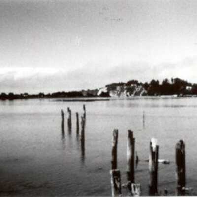 Pilings