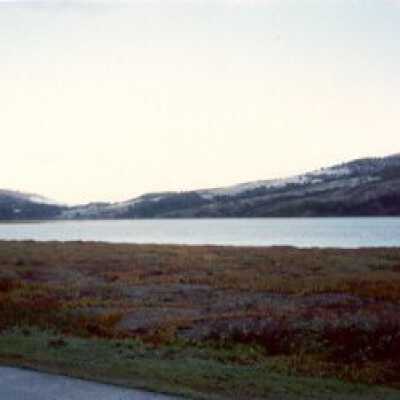 Snow, Bolinas Lagoon