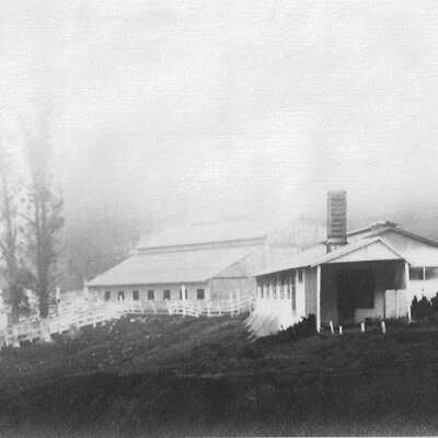 White Gate Barns circa 1950