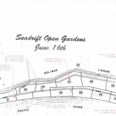 Seadrift Open Gardens June 16th