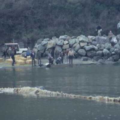 Oil Spill, Jan 1971