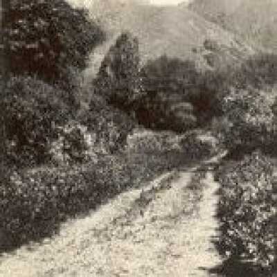 Belvedere St. before houses