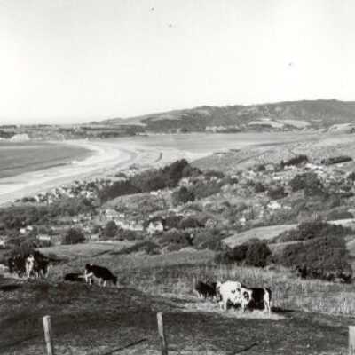 White Gate Ranch