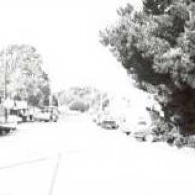 Highway 1 through town