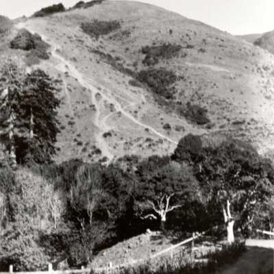 Steep Ravine, Mt. Tamalpais