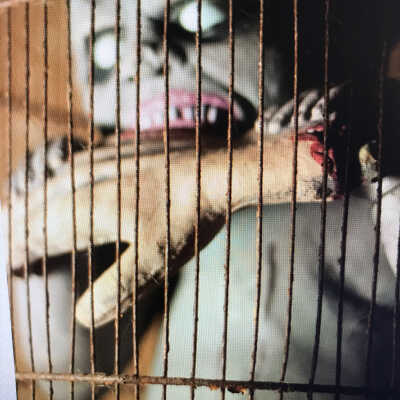 Haunted House 2011