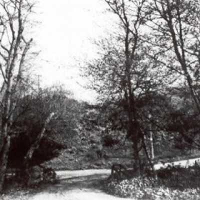 Entrance to Willow Camp
