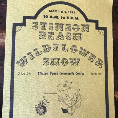 Wildflower Show 1971