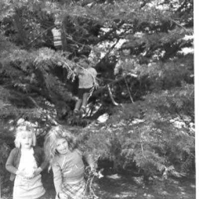 Stinson Beach Preschool