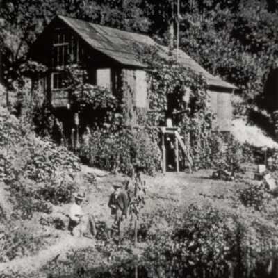 Cabin of the Painters-Welch's