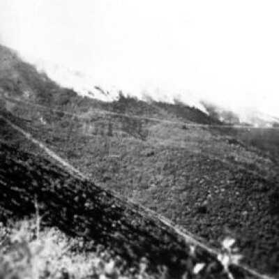 Snow Storm on Mount Tamalpais