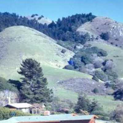 Stinson Beach Hills