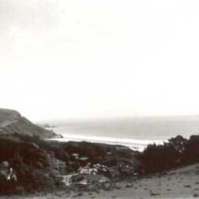 Town & Bolinas Bay