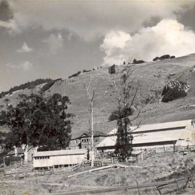 White Gate Ranch 11/24/54