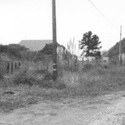 Roadside