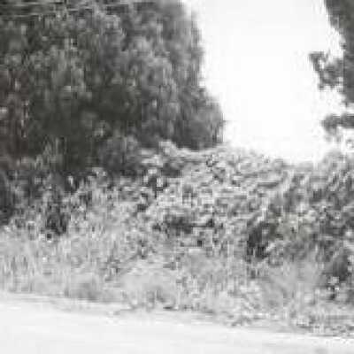 Turn in the road