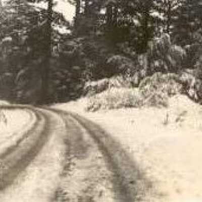 snow on Mt. Tam